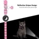 thumbnail image 4 of Collar de , para Collar de Air Tag con Hebilla de Seguridad y Campana, Collar de Reflectante en Rosa de 3/8 Pulgadas de, 4 of 8