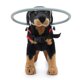 thumbnail image 3 of Arnés Walking Halo para perros ciegos GabeFish Red Small, 3 of 7