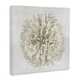 thumbnail image 2 of Stupell Industries Coastal Natural Round Coral Canvas Art, 17 x 17, by Caroline Kelly, 2 of 7