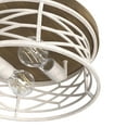 thumbnail image 3 of Hunter Langwood Distressed White and Chestnut 2 Light Flush Mount Ceiling Light Fixture, 3 of 7