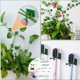 thumbnail image 5 of Pack de 100 Soportes de Pared MACHAO Ganchos Autoadhesivos 3 Tamaños Clip Verde, 5 of 5