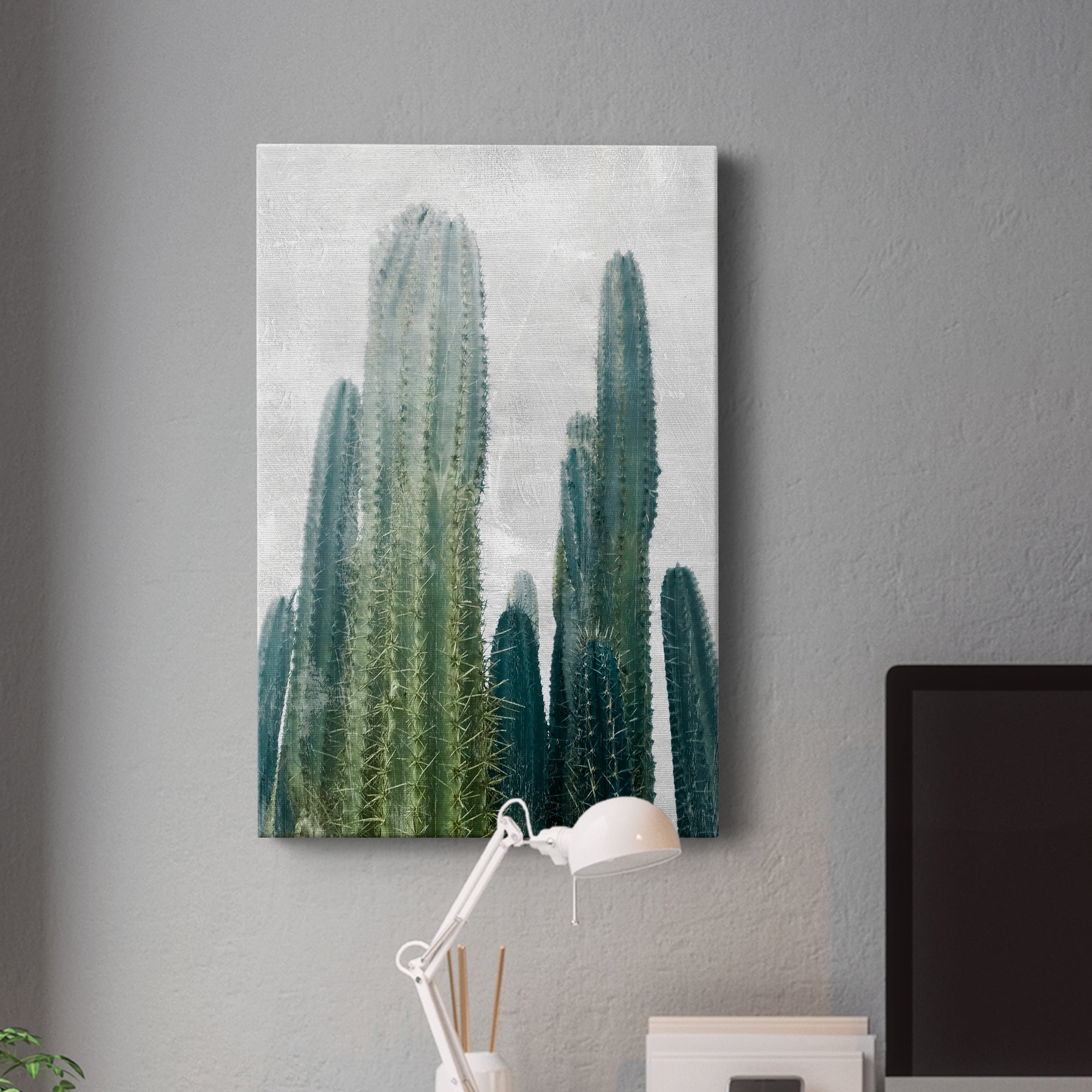 Aruba Cacti I Premium Gallery Wrapped Canvas - Ready to Hang - 8 x 12