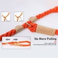 thumbnail image 2 of Dog Leash Slip Rope Braided Rope 1.7m Heavy Duty No Pull Training Leash for Small, 2 of 8