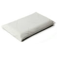 Clevamama Foam Toddler Pillow & Replacement Pillow Cover