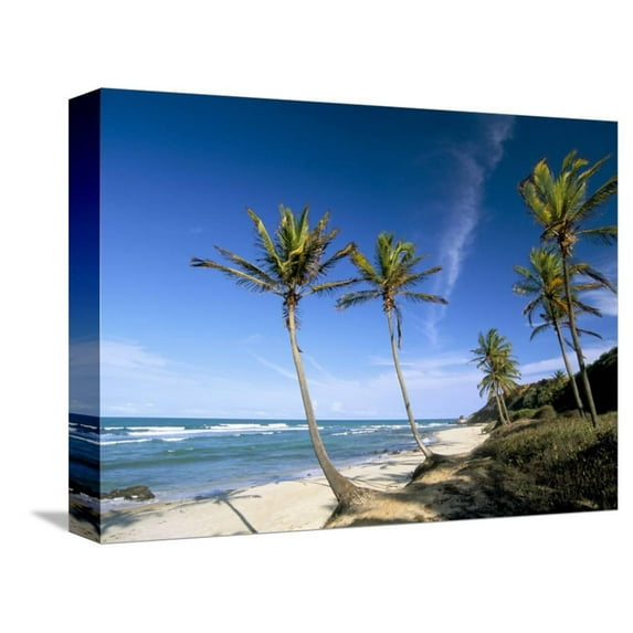 Praia Do Amor, Pipa Natal, Rio Grande Do Norte State, Brazil, South America, Scenic Stretched Canvas Wall Art by Sergio Pitamitz Sold by Art.Com