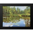 thumbnail image 2 of Adamov, Alexey 24x19 Black Modern Framed Museum Art Print Titled - Watter Lilly, 2 of 5