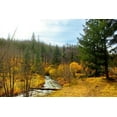 thumbnail image 2 of Tenoever, William 18x13 White Modern Wood Framed Museum Art Print Titled - Greer in Fall 9, 2 of 4