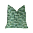thumbnail image 1 of Plutus PBKR1910-2222-DP Coussin de Luxe Vert Mer Iota Turquoise 22 x 22 Po., 1 of 3