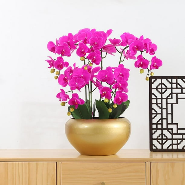Maceta de Metal dorado para plantas con orificio de drenaje, arreglos florales secos, contenedor, maceta, jarrón de hierro mate para decoración del 29x17cm Soledad macetas suculentas