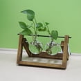 thumbnail image 4 of Florero Transparente De Planta Hidropónica Creativo Vintage, Jarrón Con Marco De Madera Para Decoración, Mesa De Cristal, Planta, Bonsái, Decoración Methold HA025402-01, 4 of 6