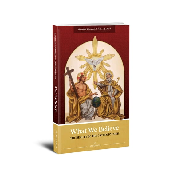Pre-Owned What We Believe: The Beauty of the Catholic Faith (Paperback) 1954881452 9781954881457