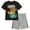 Black / gray, variant on Teenage Mutant Ninja Turtles Donatello Raphael Leonardo Toddler Boys T-Shirt and Mesh Shorts Outfit Set Toddler to Big Kid