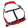 thumbnail image 1 of Collier de Tête de Cheval, Réglable, Résistant à l'Usure, Fournitures d'Équipement pour Usage Équestre, Polyvalent pour Toutes les Activités, 1 of 7