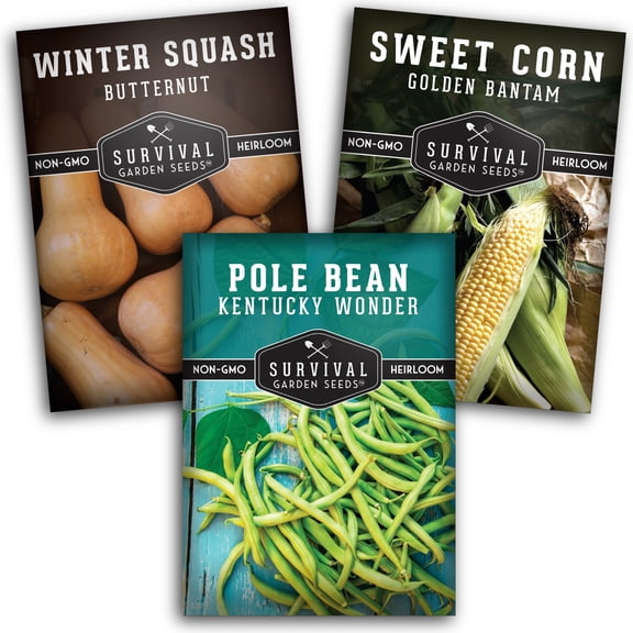 Three Sisters Seeds - Corn, Butternut Squash, & Beans - Full Sun Annual Heirloom Vegetables