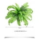 thumbnail image 5 of Simulada hierba persa hojas persas flores simuladas helechos bouquet decoración interior plantas artificiales, plantas artificiales, decoración de interiores, plantas de interior,, 5 of 8