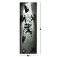 thumbnail image 2 of Star Wars: Episode VI - Return Of The Jedi - Door Movie Poster / Print (Han Solo In Carbonite) (Black Poster Hanger), 2 of 5