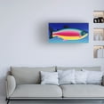 thumbnail image 3 of Hillary Vermont Pet Designs for Humans 'Fish Rainbow' Canvas Art, 3 of 3