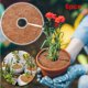 thumbnail image 1 of Disco Cubre Maceta Ganfancp 6Pcs Acolchado Estera Protección Invierno Liquidación 6X Jardinera, 1 of 2