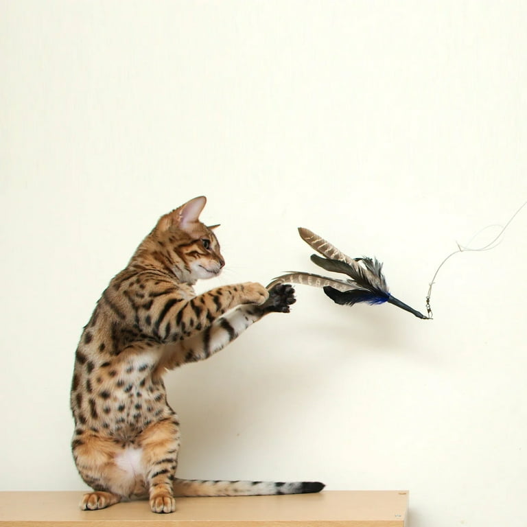 Go Cat Da Bird Rod and Feather Cat Toy, Hand (1 Bird) 