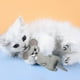 thumbnail image 4 of Juguetes de hierba gatera Gloria para gatos gris, 4 of 9