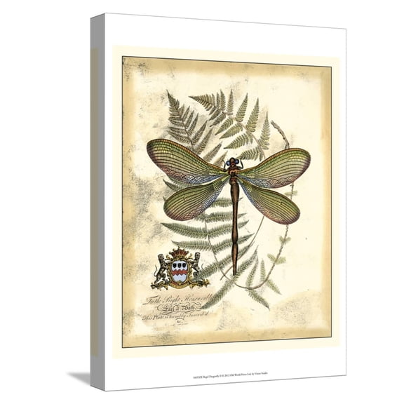 Art.com Regal Dragonfly II Stretched Canvas Print Wall Art by Vision Studio, 12" x 16"