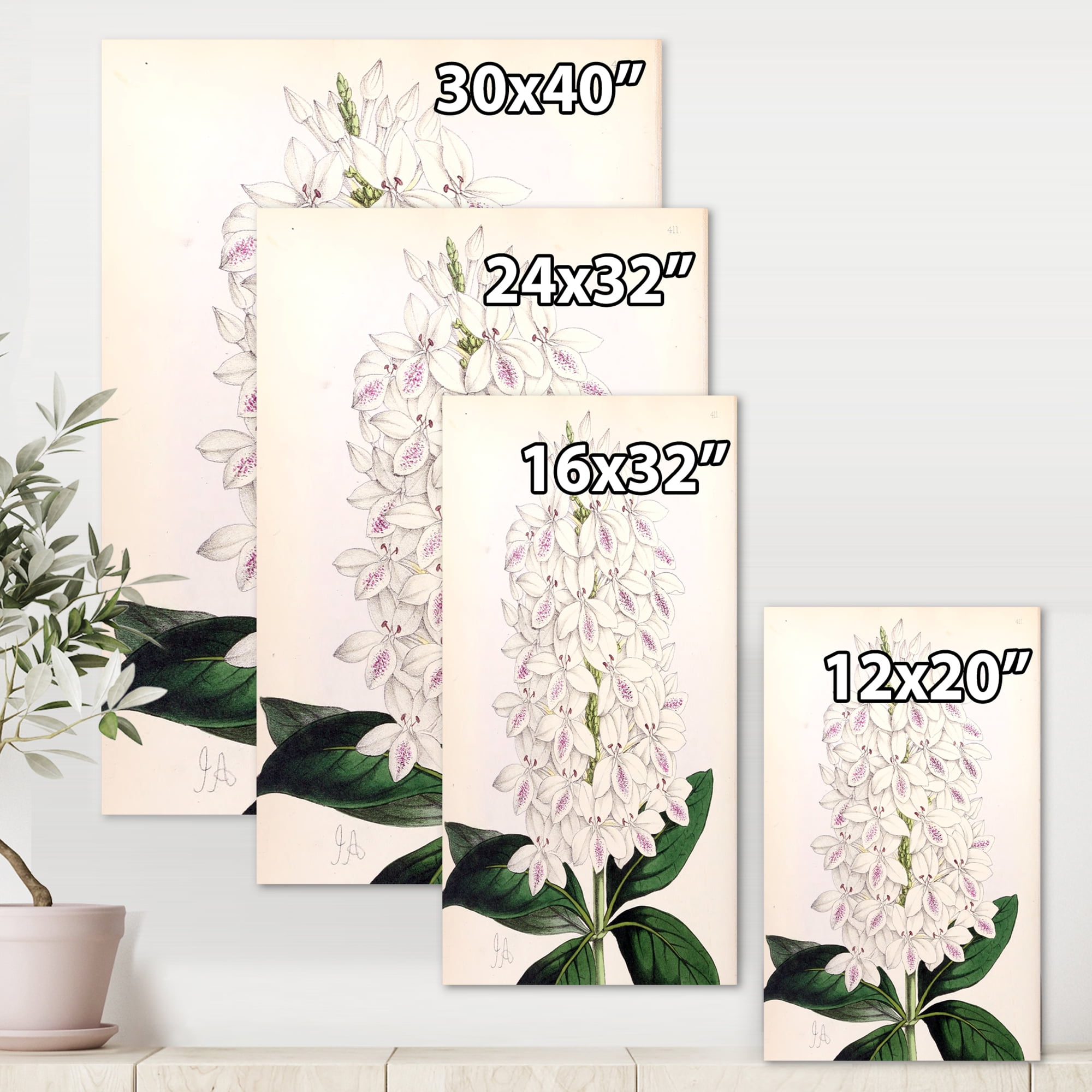 Ancient White Orchid III 24 in x 32 in Painting Canvas Art Print, by Designart