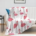 thumbnail image 3 of Flamingo Blanket Gifts - 50x40 Inches Cute Throw Blanket for Women & Girls - Pink Soft Plush Blankets for Crib, Couch & Travel, Gifts for Flamingo Lovers, 3 of 6