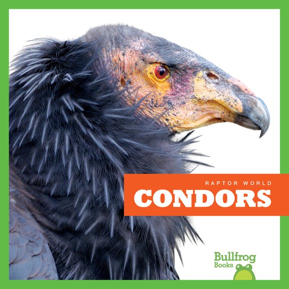 Raptor World: Condors (Hardcover)