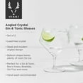 thumbnail image 3 of Viski Raye Angled Gin and Tonic Glasses, Wedding Gifts, 14oz Set of 2, 3 of 6