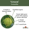 thumbnail image 5 of Burpee Organic Green Tomatillo Vegetable Seed, 1-Pack, 5 of 6