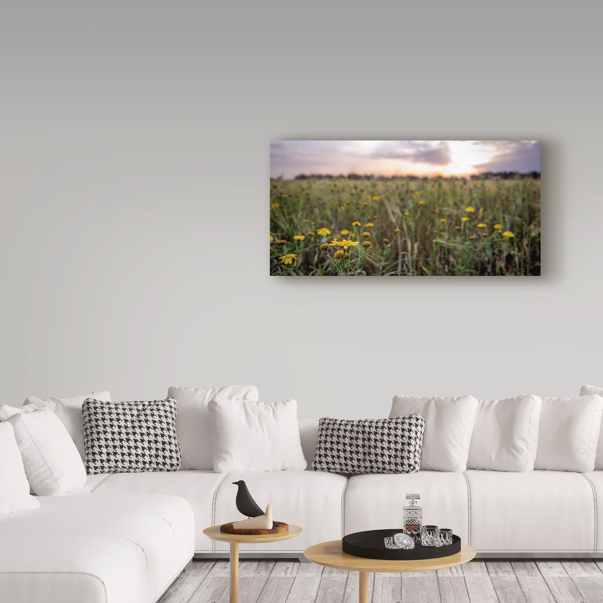 Trademark Fine Art 'Flowers In The Sunset' Canvas Art by Giuseppe Torre