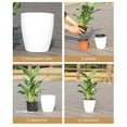 thumbnail image 4 of Self Watering Planters, Self Watering Pots, 8X6 In, Hydroponic, Living Space Decor, Black Rim, Large Container, 1 Pc Pot, 1 Pc Cord, 4 of 5