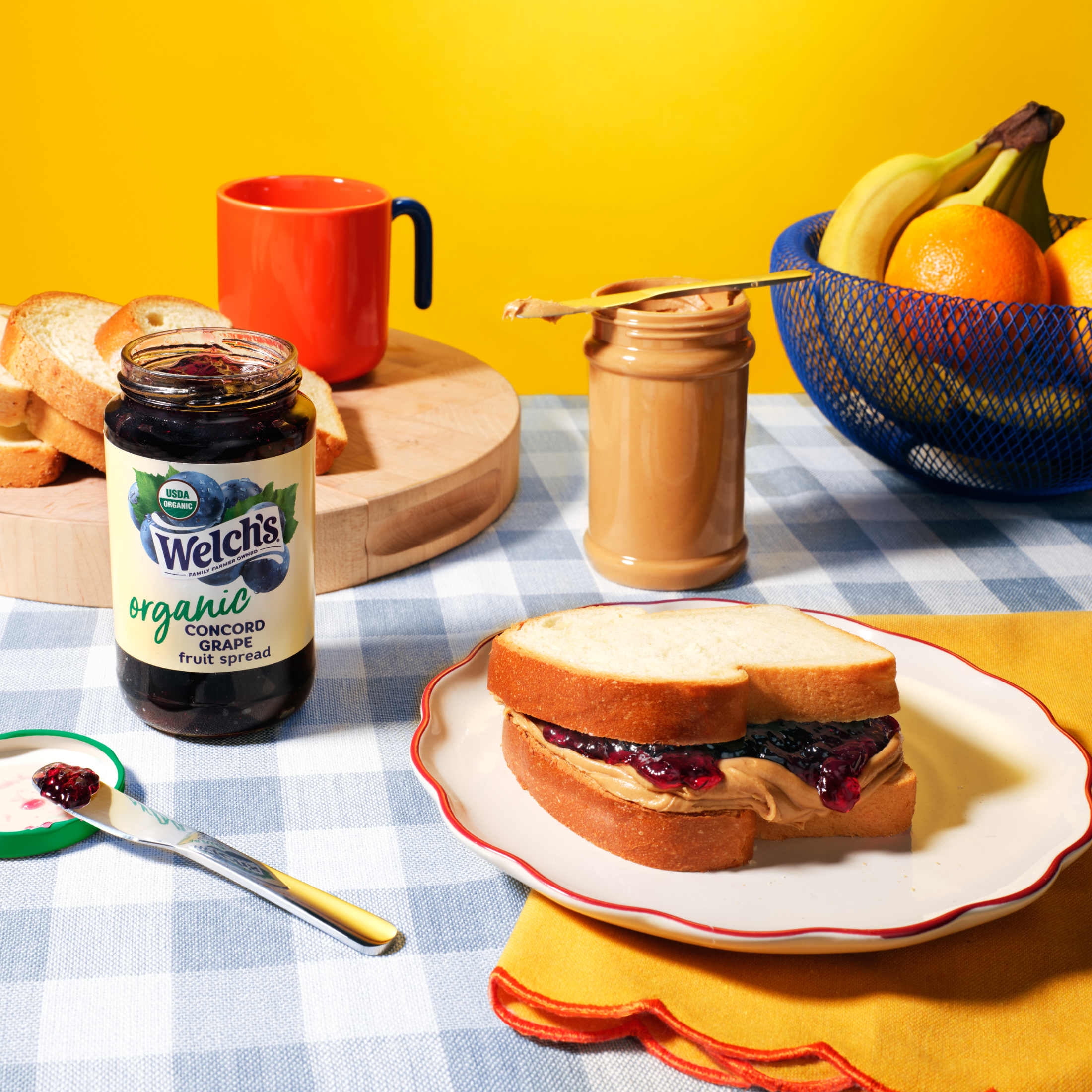 Welch's Concord Grape Organic Spread, 18 oz Jar