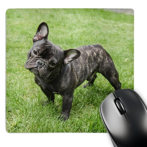 3dRose, Redmond, WA. Portrait of a French Bulldog. , MousePad