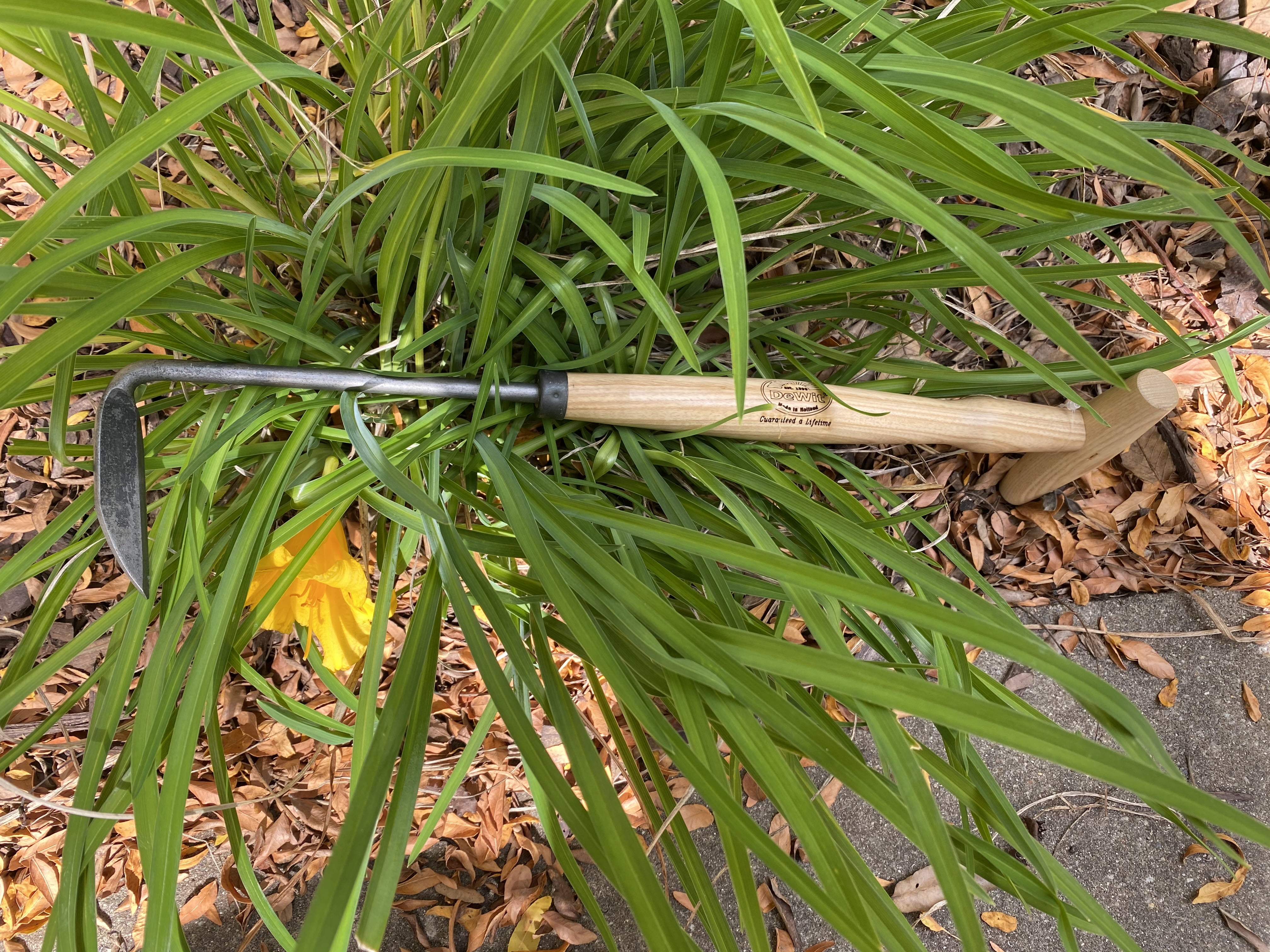 Right Hand Cape Code Weeder with P-Handle
