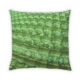 thumbnail image 1 of Ahgly Company Outdoor Square Contemporary Throw Pillow, 18 inch by 18 inch, 1 of 5
