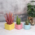 thumbnail image 5 of Unique Bargains 2' Square Plastic Succulent Planter with Drainage Blue Flowerpot Container, 3 Pack, 5 of 5