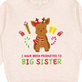thumbnail image 3 of Inktastic Promoted to Sister with Christmas Reindeer Toddler Sweatshirt, 3 of 4