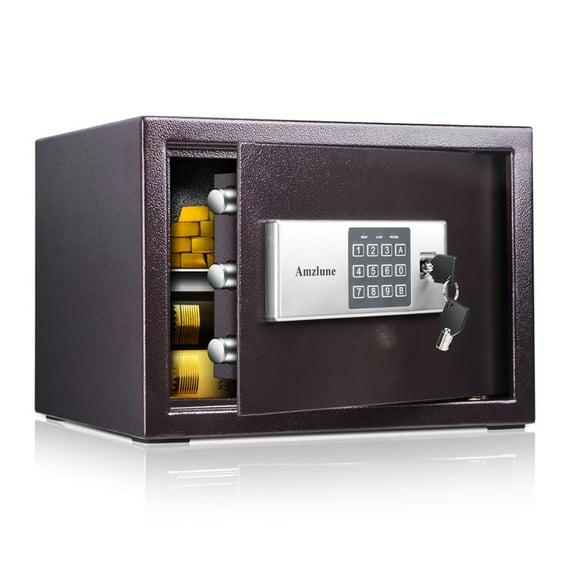 Amzlune Safes, electronic, Waterproof and Fireproof Alloy Steel Digital Safe Box for Home