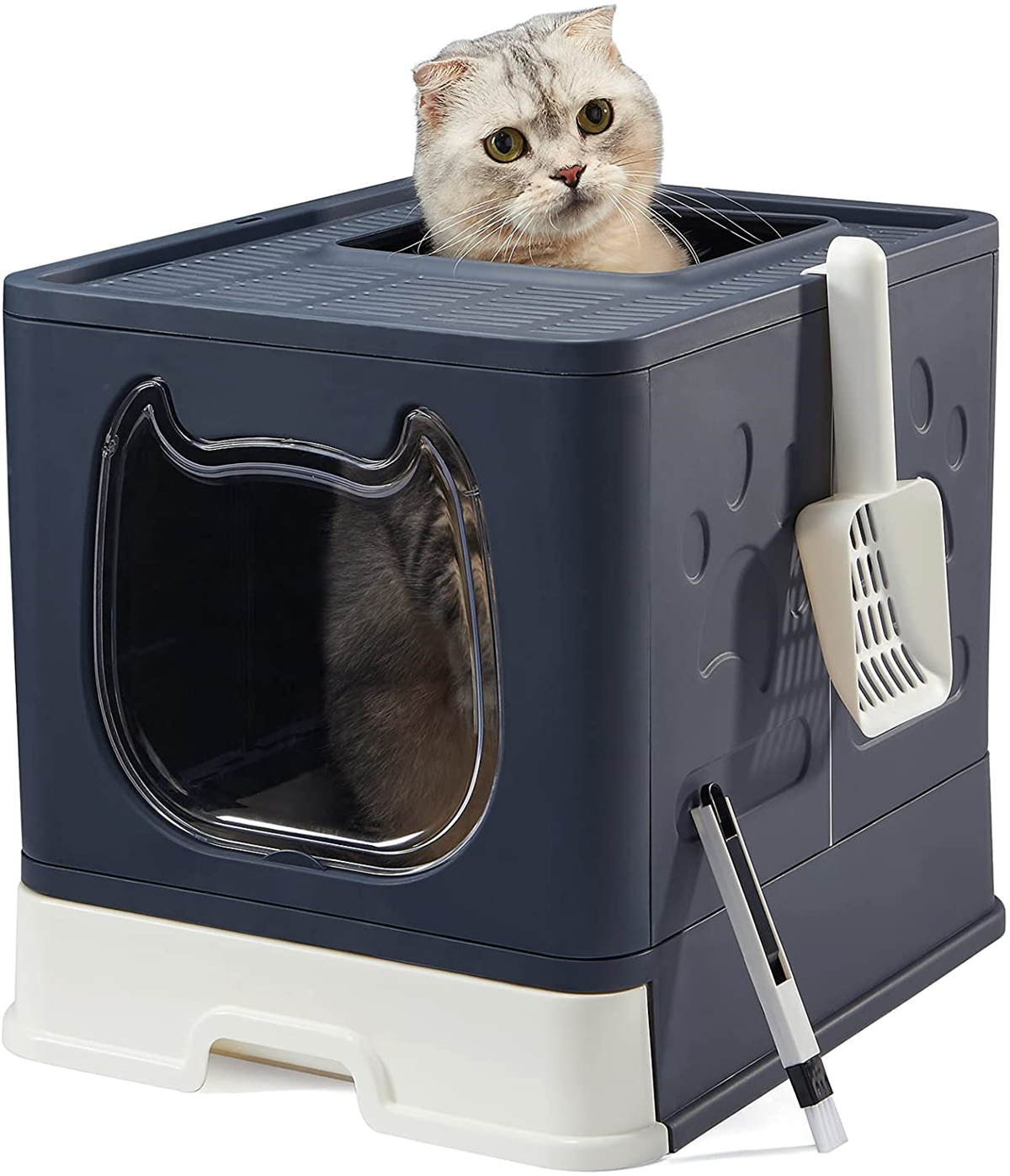 Kitten Litter Box with Lid, Top Entry Cat Litter Box for Kittens and