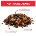 thumbnail image 5 of Vibrant Life Economy Blend Wild Bird Seed with Black Oil Sunflower, 20 lb Bag, 5 of 14