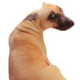 thumbnail image 4 of Juguete de felpa CUTICAT almohada de felpa estilo A, 4 of 8