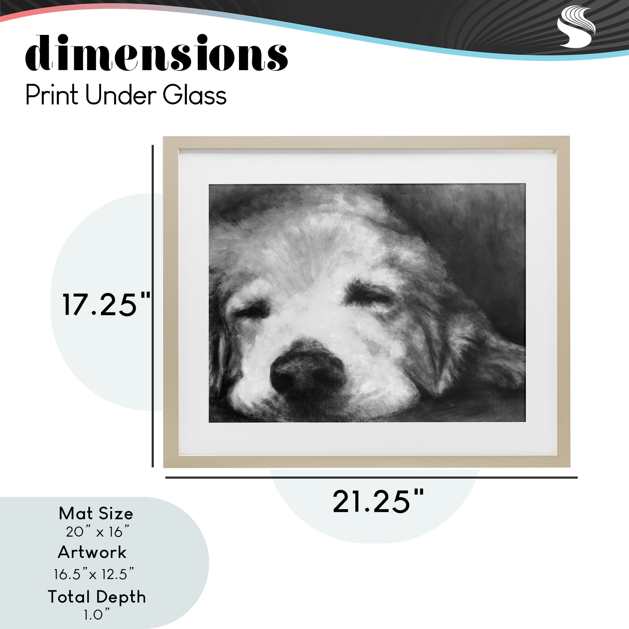 Stupell Industries Monochrome Dog Day Afternoon Birch Framed Print Under Glass, design by Walt Johnson