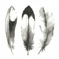 thumbnail image 2 of Popp, Grace 15x15 Black Ornate Wood Framed with Double Matting Museum Art Print Titled - Watercolor Feathers II, 2 of 4