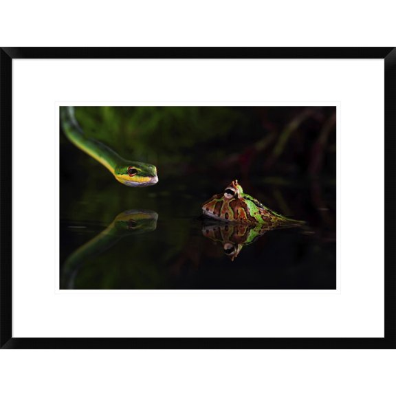 Global Gallery Shikhei Goh 'Courage' Framed Wall Art