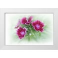 thumbnail image 1 of Murdock, Ramona 14x11 White Modern Wood Framed Museum Art Print Titled - Bachelor Buttons I, 1 of 4