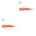 thumbnail image 1 of Greeniant 10 Uds. De cebos de insectos de simulación, señuelos de pesca portátiles, cebos de pesca suaves reutilizables, cebos de plástico para Jigging Type19 NO19 Greeniant CBP149493, 1 of 6