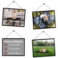 thumbnail image 4 of Cama alta para perros y mascotas pequeños, medianos y grandes, cama alta para perros con marco duradero y red, cuna para perros con patas de goma para uso interior y exterior, lavable, negro(Medium), 4 of 6