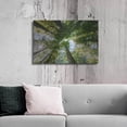 thumbnail image 6 of Luxe Metal Art 'POV' by Luxe Portfolio, Metal Wall Art, 36"x24", 6 of 9