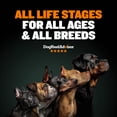 thumbnail image 5 of Bully Max 30/20 High Protein Chicken Flavored Dog Food, 15 lb. Bag, 5 of 10